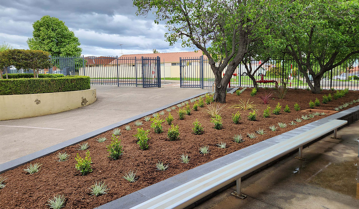 Greenway Park Public School, raised garden beds, commercial landscaping construction and design